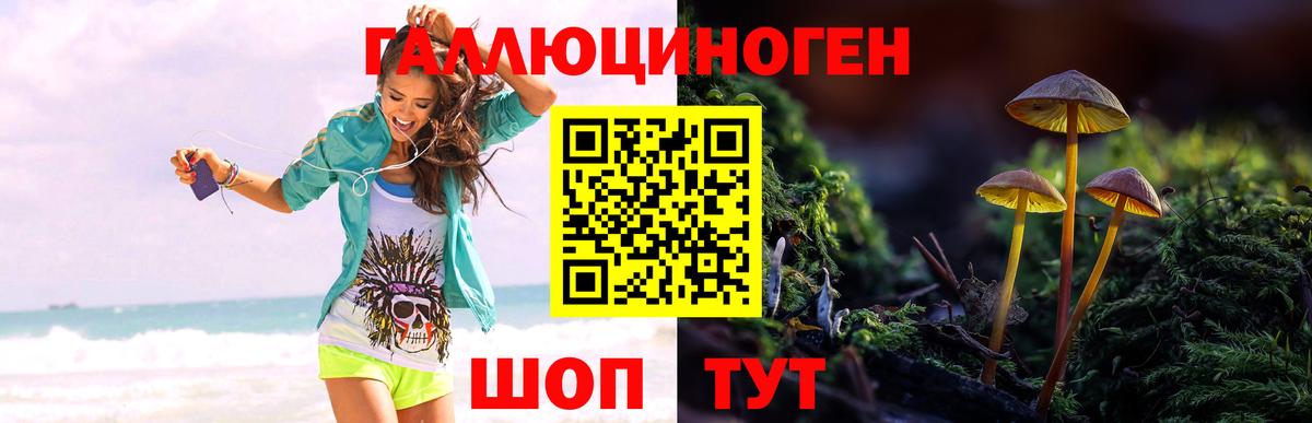 Галлюциногенные грибы MAGIC MUSHROOMS  Псилоцибиновые грибы Psilocybe  Вход с VPN  Видное 